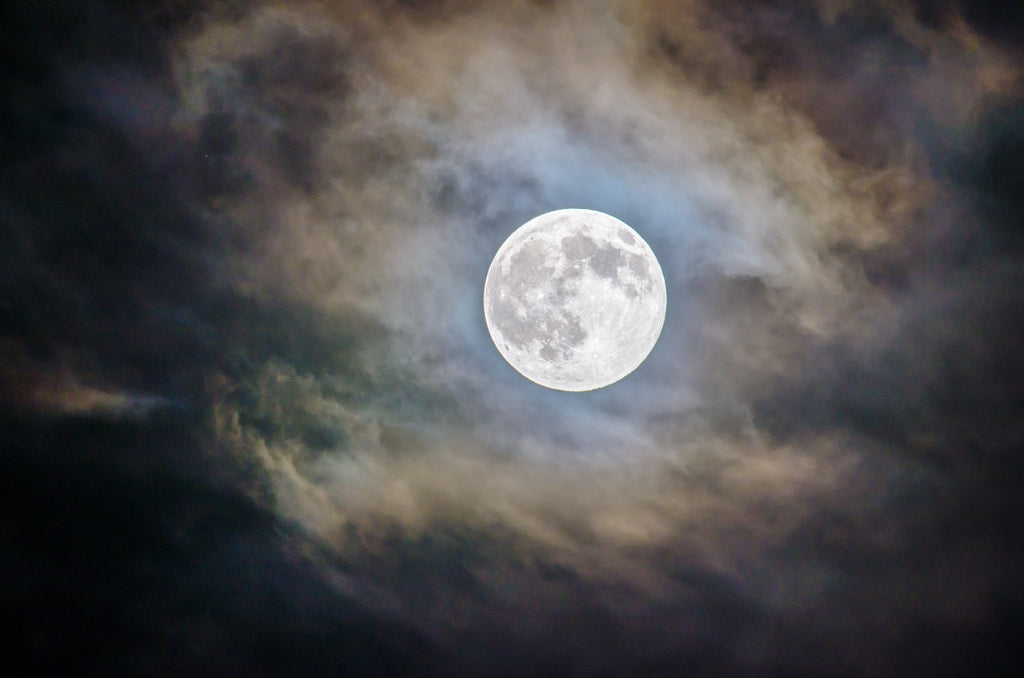 Illuminating the Night: November 2023's Enchanting Full Moon
